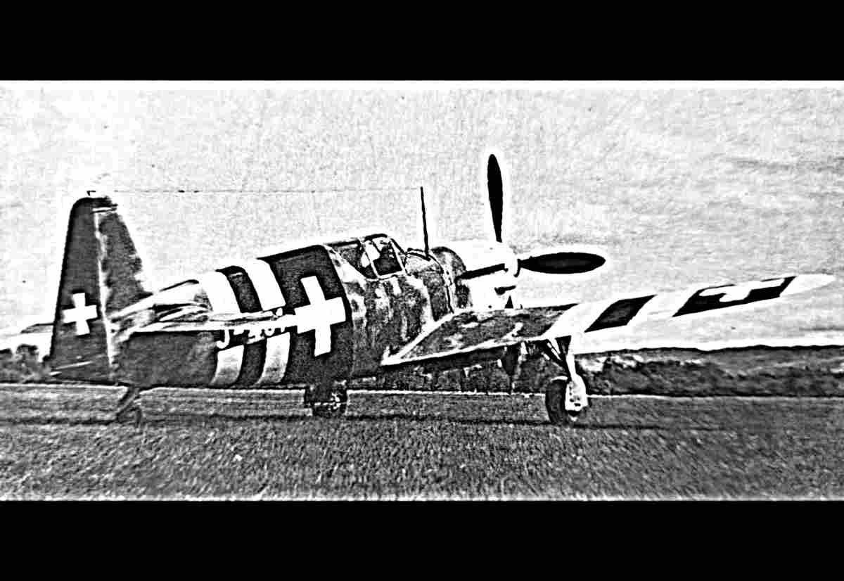 Doflug D3802 Monoplane Fighter Switzerland (2) Military A4 Photo Print