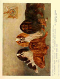 Dog 1911 Frances King Charles Spaniels A4 Photo Print