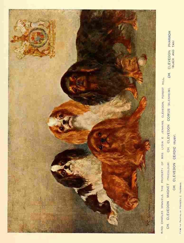 Dog 1911 Frances King Charles Spaniels A4 Photo Print