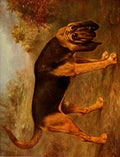 Dog 1911 Lilian Cheviot Bloodhound A4 Photo Print