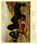 Dog 1911 Lilian Cheviot Cocker Spaniels A4 Photo Print