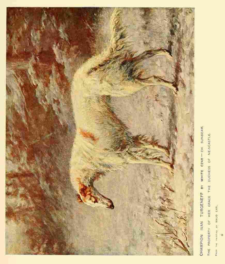 Dog 1911 Maud Earl Borzoi A4 Photo Print