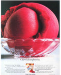 Dole Raspberry Sorbet Vintage Retro Advert Poster A4 Photo Print