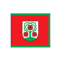 Domeikava City Flag N4190 A4 Photo Print
