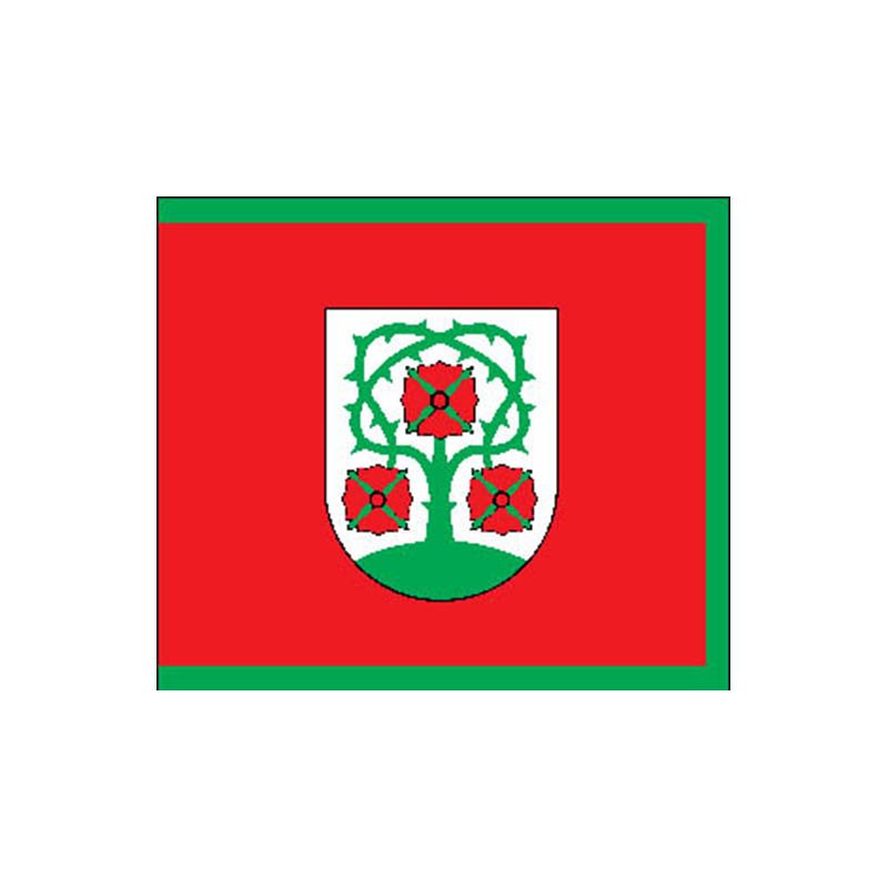 Domeikava City Flag N4190 A4 Photo Print