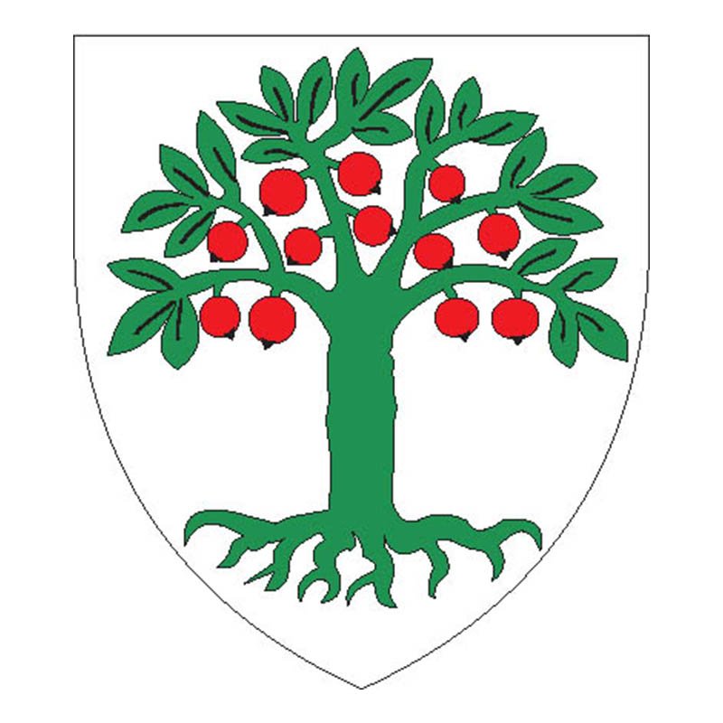 Domleschg Circle Coat Of Arms N3208 A4 Photo Print