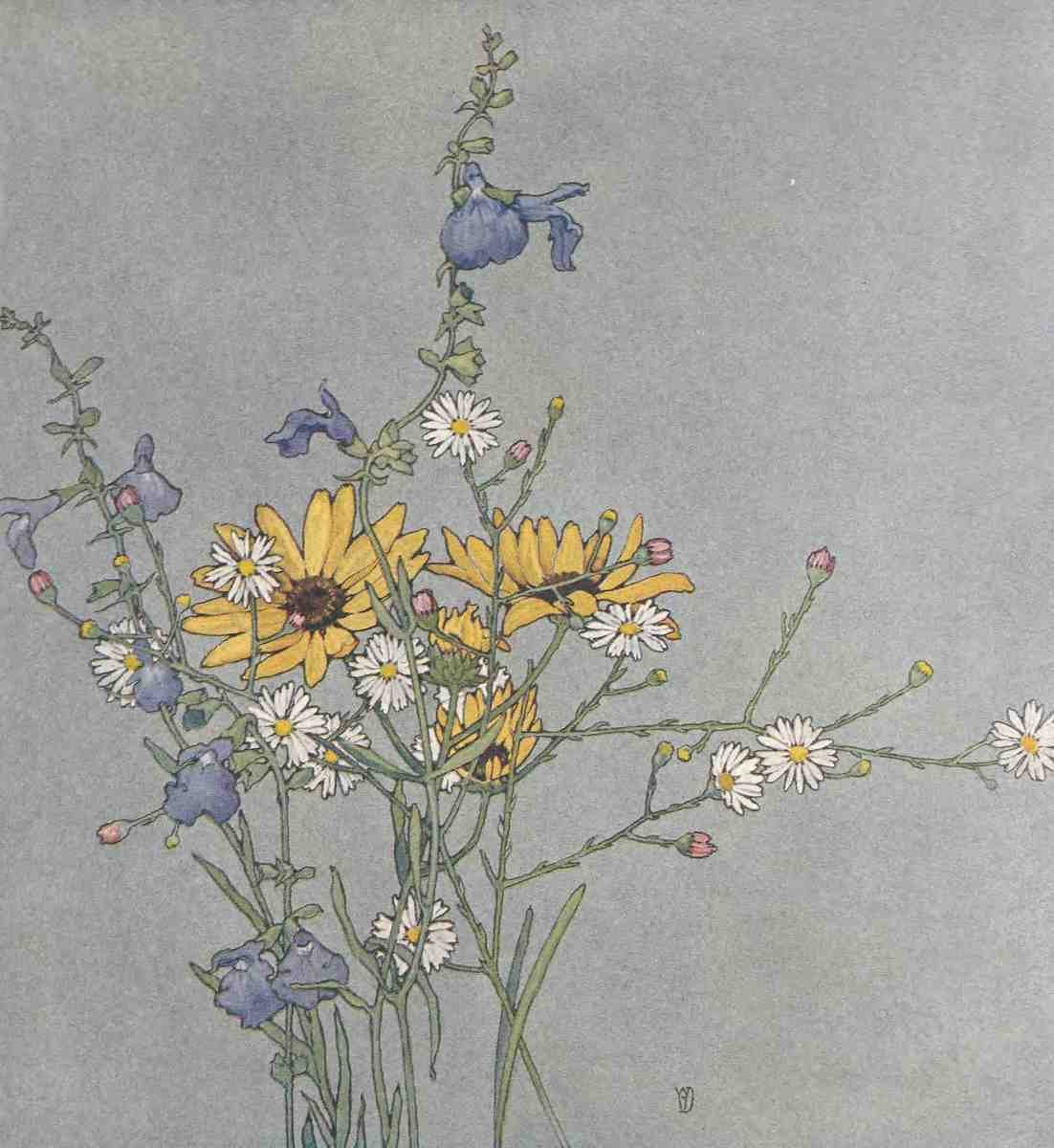 Donaldson Alice Willits 1885 1961 Keramic Studio 1899 1920 Texas Fall Flowers A4 Photo Print