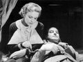 Donat Robert 39 Steps The z1 film star poster A4 Photo Print