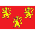 Dordogne Dep Flag N2927 A4 Photo Print