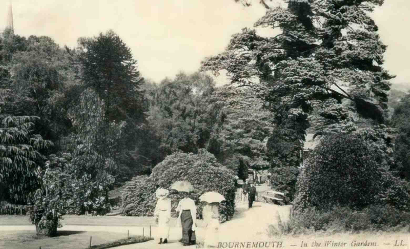 Dorset Bournemouth In the Winter Gardens c1915 Vintage A4 Photo Print