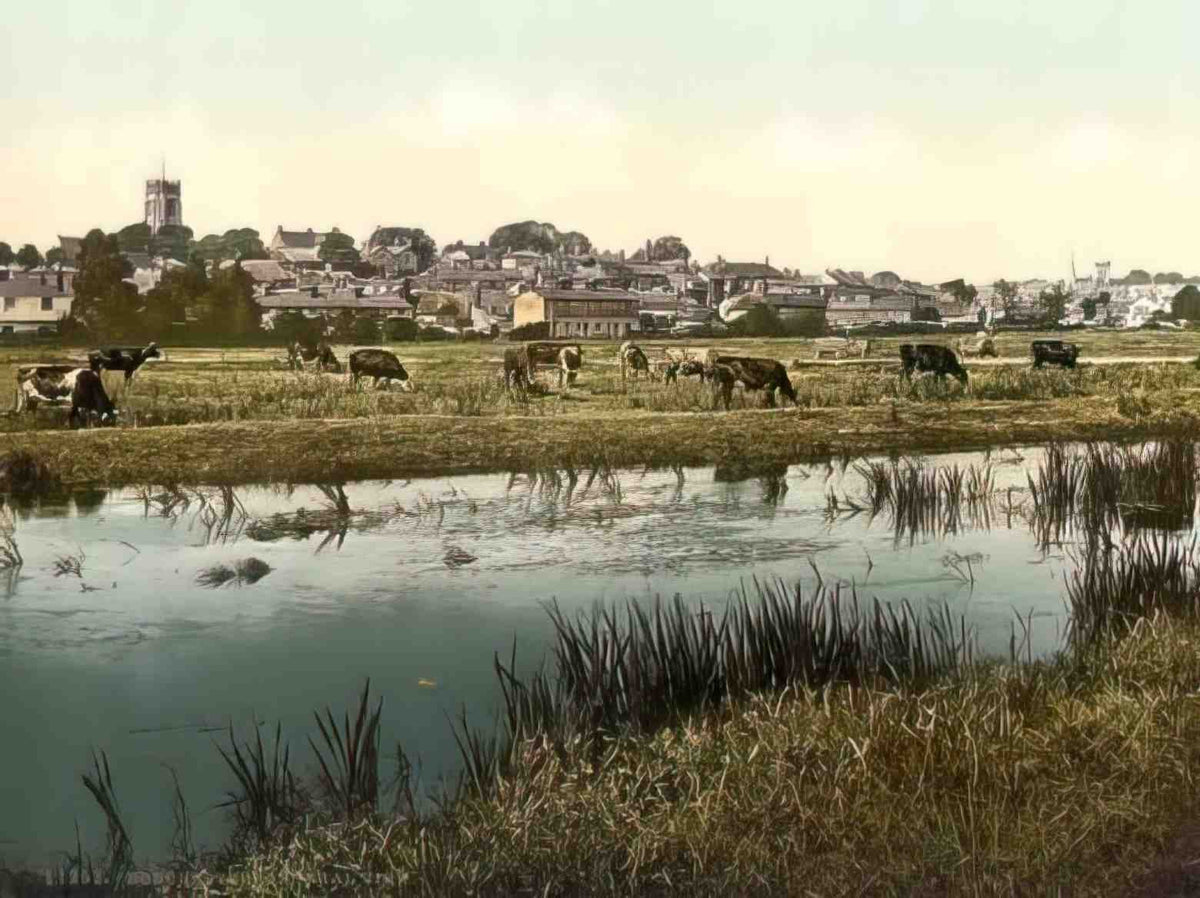 Dorset Dorchester General View Vintage A4 Photo Print