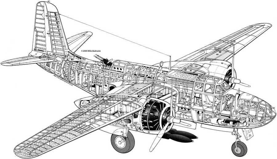 Douglas A 20 Havoc cutaway A4 Photo Print
