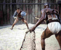 Douglas Kirk Spartacus 4 film star poster A4 Photo Print