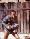 Douglas Kirk Spartacus z6 film star poster A4 Photo Print