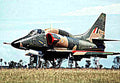 Douglas Skyhawk Lightweight Carrierborne Navy Fighter Usa 26 (2) Military A4 Photo Print