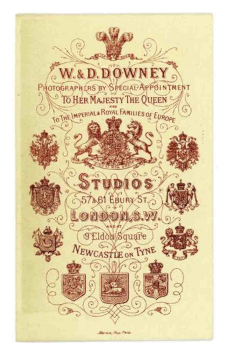 Downey Heraldic Dragon Vintage Retro Advert Poster A4 Photo Print