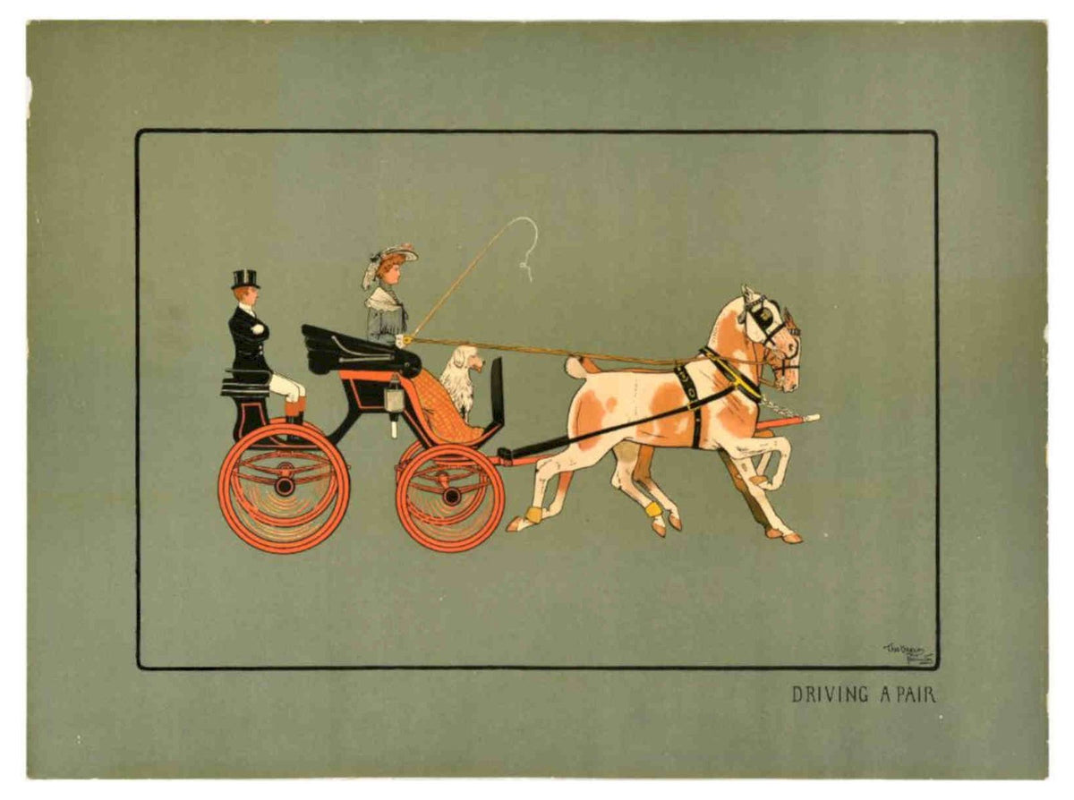 Driving Pair Carriage Vintage Retro Advert Poster A4 Photo Print