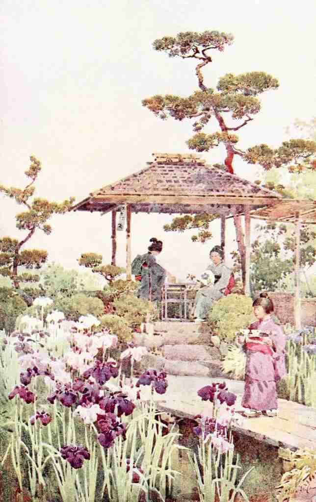Du Cane Ella 1874 1943 An iris garden Flowers & Gardens of Japan 1908 A4 Photo Print