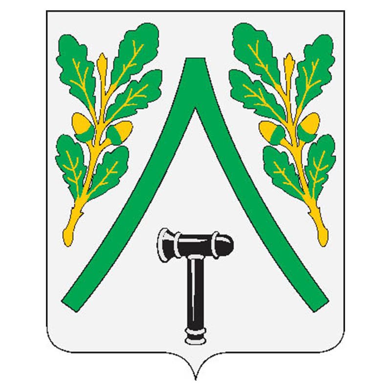 Dubensky Rayon Coat Of Arms N3264 A4 Photo Print