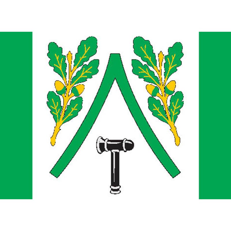Dubensky Rayon Flag N3265 A4 Photo Print