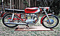 Ducati 200 Elite motorbike A4 Photo Print