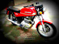 Ducati 350 GTL 1975 1 motorbike A4 Photo Print