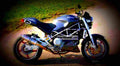 Ducati 600 Monster 2001 4 motorbike A4 Photo Print