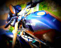Ducati 600 Monster 2001 5 motorbike A4 Photo Print