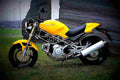Ducati 600 Monster 2001 6 motorbike A4 Photo Print
