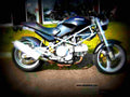Ducati 600 Monster Dark 1998 3 motorbike A4 Photo Print