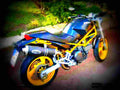 Ducati 600 Monster Dark M 1999 3 motorbike A4 Photo Print