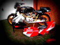 Ducati 600 SL Pantah 1981 4 motorbike A4 Photo Print