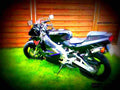 Ducati 600 SS N 1994 6 motorbike A4 Photo Print