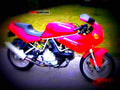 Ducati 600 SS N 1995 3 motorbike A4 Photo Print