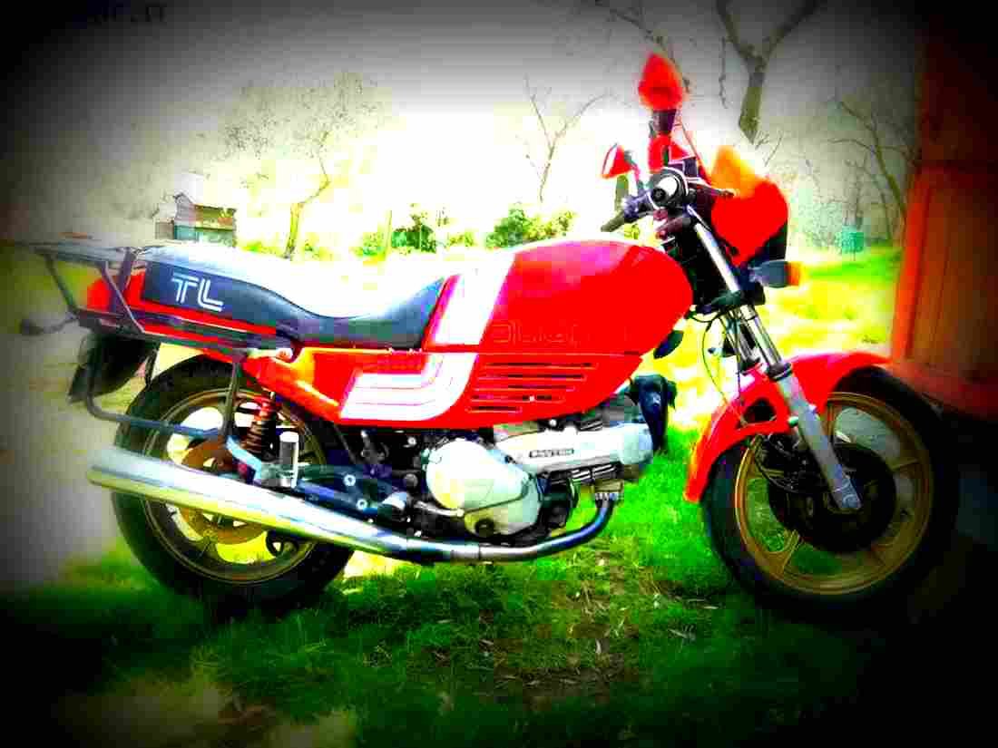 Ducati 600 TL 1985 1 motorbike A4 Photo Print
