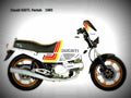 Ducati 600 TL Pantah 1982 3 motorbike A4 Photo Print