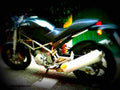 Ducati 620 Monster i.e. Dark Single Disc 2004 5 motorbike A4 Photo Print