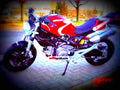 Ducati 620 Monster i.e. Dark Single Disc 2004 6 motorbike A4 Photo Print