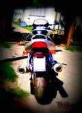Ducati 620 Sport Full fairing 2003 1 motorbike A4 Photo Print