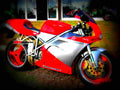Ducati 748 Biposto 1998 2 motorbike A4 Photo Print