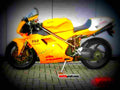Ducati 748 R 2000 1 motorbike A4 Photo Print