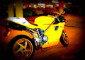 Ducati 748 S 2001 6 motorbike A4 Photo Print