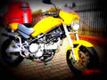 Ducati 750 Monster 2001 4 motorbike A4 Photo Print