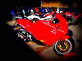 Ducati 750 Paso 1986 3 motorbike A4 Photo Print