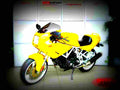 Ducati 750 SS 1991 1 motorbike A4 Photo Print