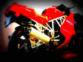 Ducati 750 SS 1992 5 motorbike A4 Photo Print