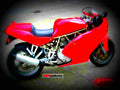 Ducati 750 SS 1997 3 motorbike A4 Photo Print