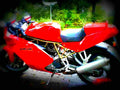 Ducati 750 SS Supersport 2000 6 motorbike A4 Photo Print