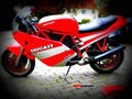 Ducati 750 Sport 1989 4 motorbike A4 Photo Print