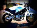 Ducati 800 Monster DARK i.e. 2003 2 motorbike A4 Photo Print